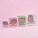 dozy-na-jedlo-pusheen-4179