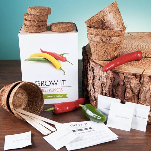 grow-it-chilli-papricky-1557