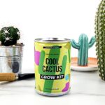 grow-tin-vypestuj-si-kaktus-5616